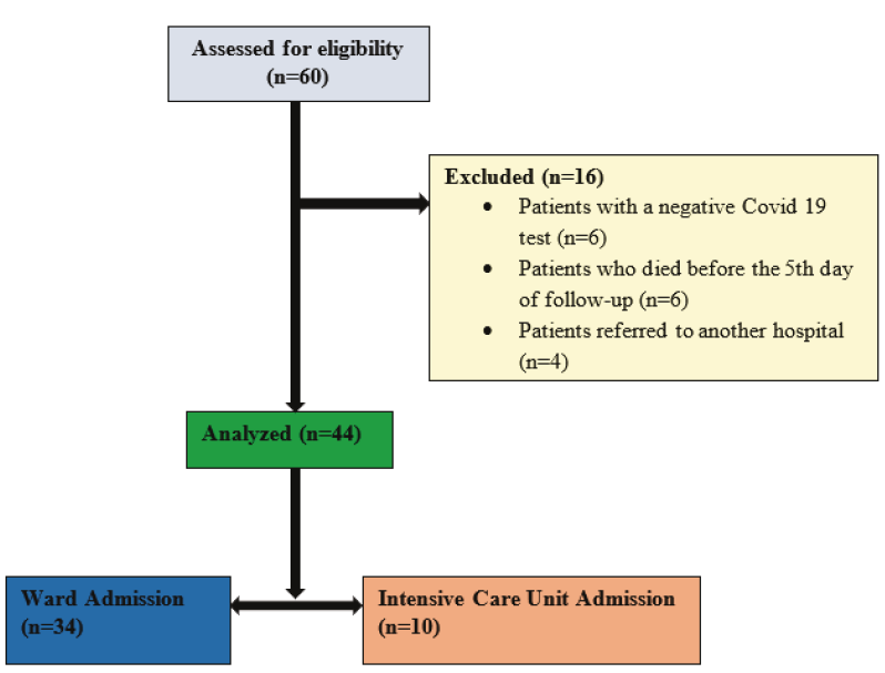 Figure 1. Flow Diagram of the study